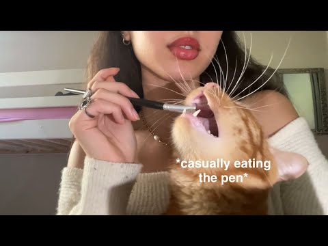 Lofi ASMR for 3 minutes