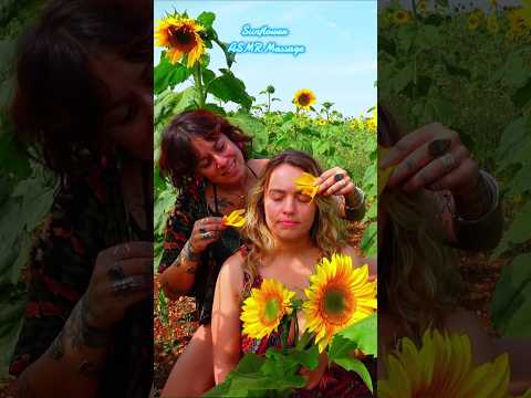 Sunflower ASMR massage #sunflowers #nature #asmr #asmrsounds #realpersonasmr #personalattention