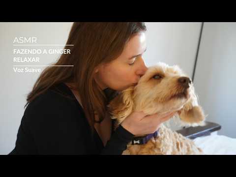 ASMR - Colocando a cachorrinha pra dormir | SOLANGE PRATA