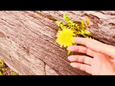 ASMR feet walking on the tracks