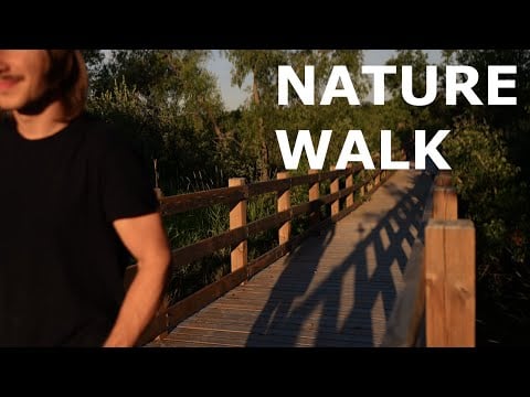ASMR Nature Walk