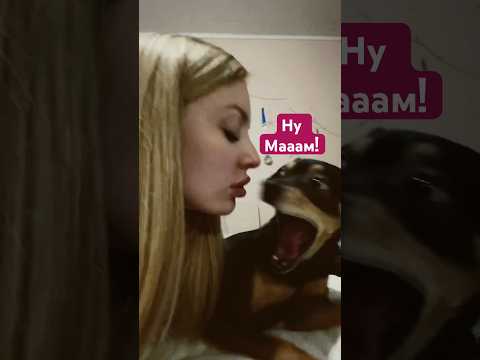 Вот так всегда 🥲It’s always like that 🥲#twitch  #twitchmoments #dog #dogsofinstagram #doglovers
