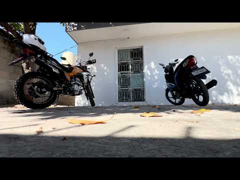 ASMR BINAURAL IDLE DOUBLE MOTORBIKE + NATURE SOUNDSCAPE (RELAXING AMBIANCE)