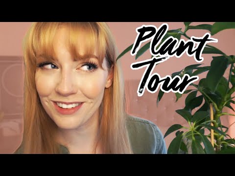 ASMR Plant Tour 🌿 Relaxing Whispering