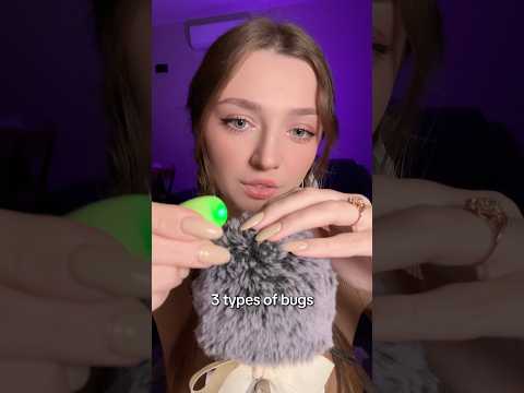 3 types of bugs🐜 #asmr #asmrsounds #asmrrelax #asmrtingles #asmrwhispers #asmrsleep #relax #tingles