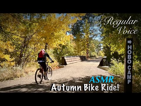 ASMR Amazing Fall Foliage! Gritty gravel bike ride~Nature sounds