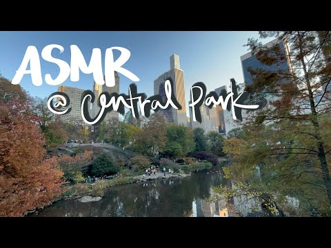 autumn walk in central park (asmr)