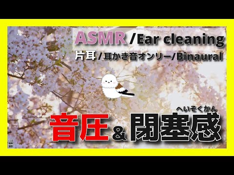 【ASMR/Ear Cleaning/Binaural】反対側の耳が詰まってるかのように錯覚する耳かき【片耳版/耳かき/イヤホン必須】