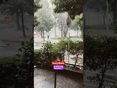 #asmr #rain #rainsounds #rainasmr #city #shorts