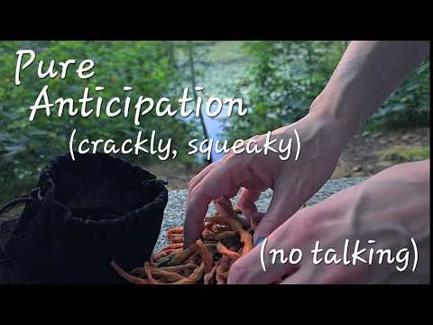 Pure Anticipation (ASMR)(crackly, squeaky)(no talking)(Real Ambience)