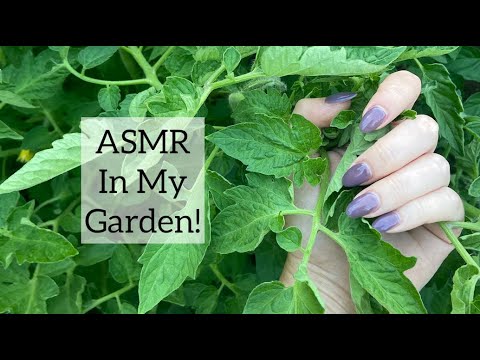 ASMR In My Garden!