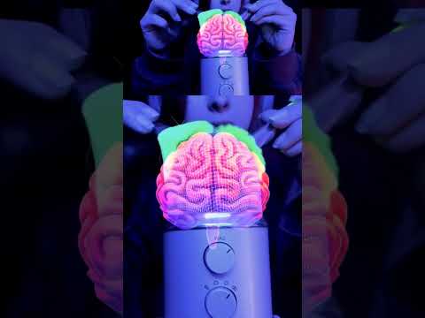ASMR mic brushing #short