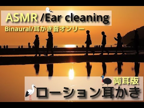 【ASMR/Ear Cleaning/Binaural】ローションに溺れる安眠耳かき【両耳版/イヤホン必須】