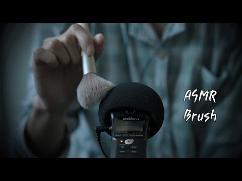 ASMR 큰 브러시로 빠르게 툭툭 털어볼게요[Brush sounds]