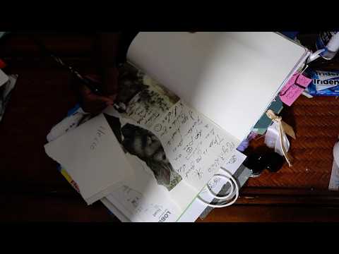 First Time Trying Dip Pen Scrapbook Art Journaling 44 ASMR Trident Chewing Gum