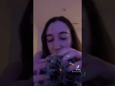 ASMR looking for bugs!
