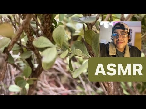 ASMR | Visual in Nature