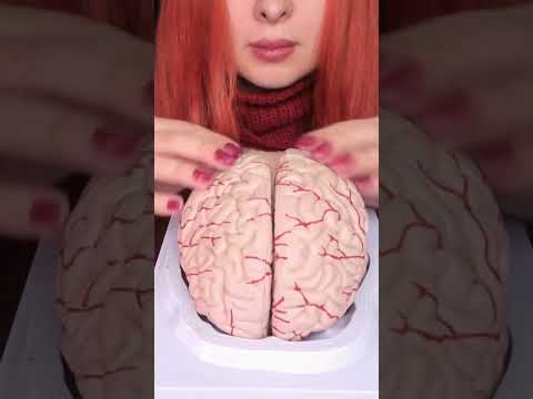 ASMR Most Tingly Brain Massage Ever (No Talking) #shorts