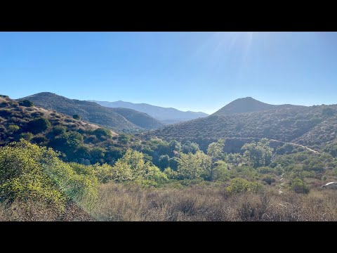 ASMR Ramble in Nature 🌾🍃