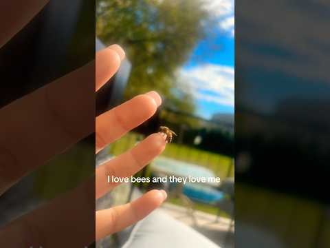 Honeybee Love #bee #honeybee #peaceful #truelove #asmr #relaxing