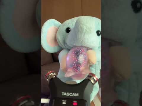 somewhat unique asmr💙#asmr
