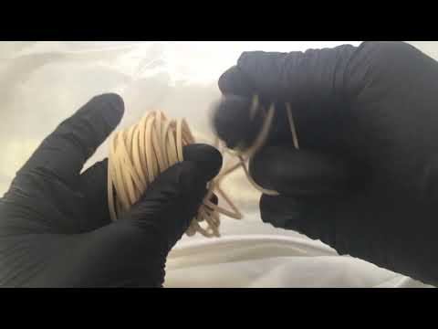 LATEX GLOVES 🙌 HAIR 💛 COUNTING IN DUTCH 🖕✌ RUBBERBANDS 🎧 [[ASMR]]