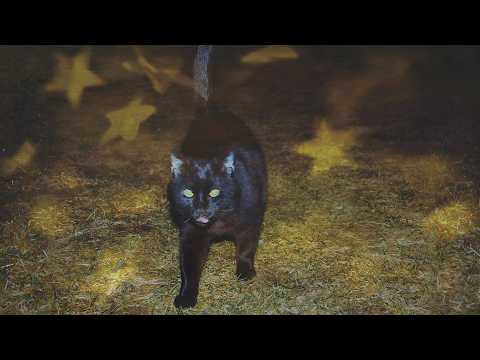halloween party mixtape [ᴘʟᴀʏʟɪꜱᴛ]