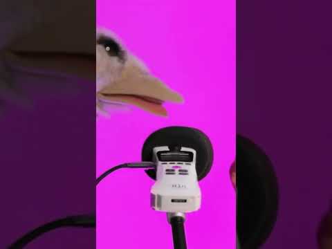 ASMR GONE WRONG #asmr #funny #funnyshorts #shorts #shortvideo #short #shortsvideo #shortsfeed #fyp