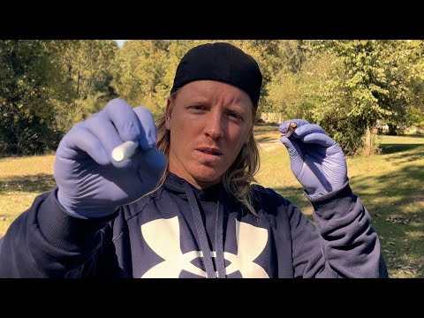 ASMR Cranial Nerve Exam | Everything Is Wrong | This New Mic Catches Wind…