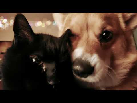 ASMR | Comforting You During an Anxiety Attack