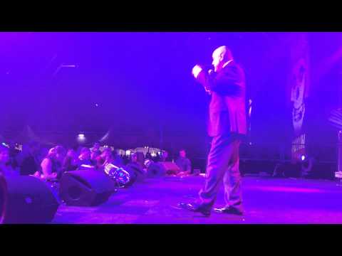 DUTCH COMIC CON * Mark Ryan * the voice of the Bumblebee character