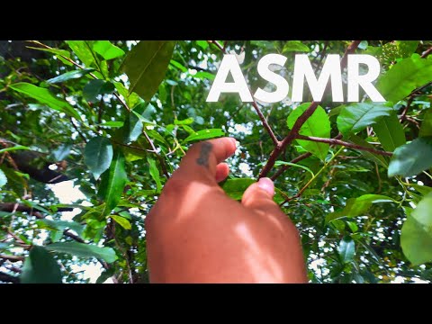 ASMR | nature before a storm