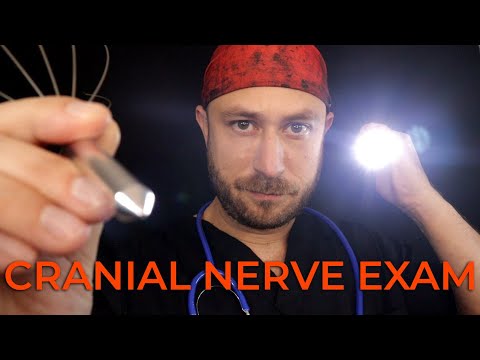 Complete & Fast ASMR Cranial Nerve Exam