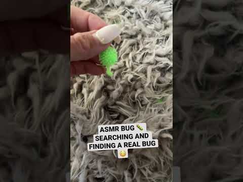 This Is NOT A JOKE! ASMR BUG SEARCHING … We REALLY Found A BUG 🐛 EWWWWW