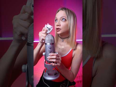 Cat ASMR triggers 🐱 #asmr #tingles #cat #relax