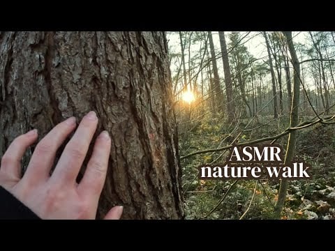 ASMR in the forest | no talking | forest sounds, birds chirping, water sounds, leaves crunching