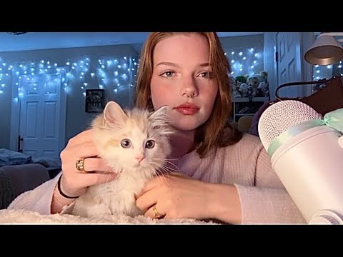 Purring Kittens ASMR 🐾 | Purring, Petting + Soft Fuzzy Sounds