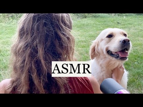 ASMR cute dog wanted to join 🐶 hair brushing/detangling, sound of nature, soft rambling, hair play