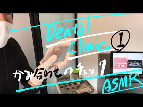 ASMR “デンタルクリニック 歯科検診 ロールプレイ” Dental Clinic Roleplay
