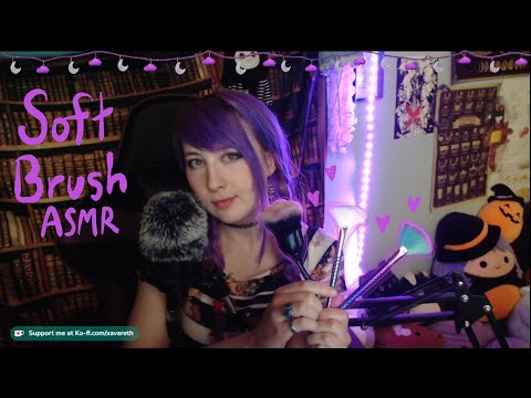 Soft Brush Visual ASMR, mic pets, n tongue clicks