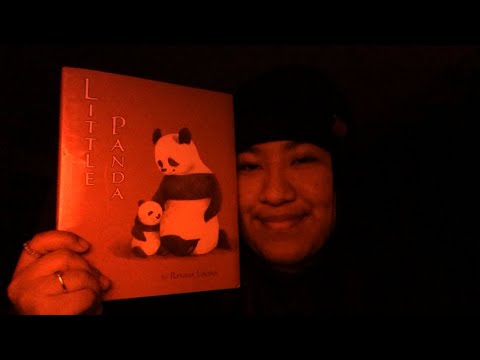 ASMR - Little Panda 🐼