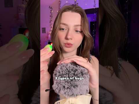 3 types of bugs #asmr #asmrsounds #asmrrelax #asmrtingles #asmrwhispers #asmrsleep #relax #tingles