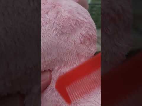 asmr, cozy and comforting