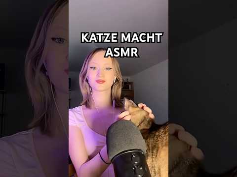 Meine Katze macht ASMR #asmr #mouthwhisper #fabricscratching #tingles