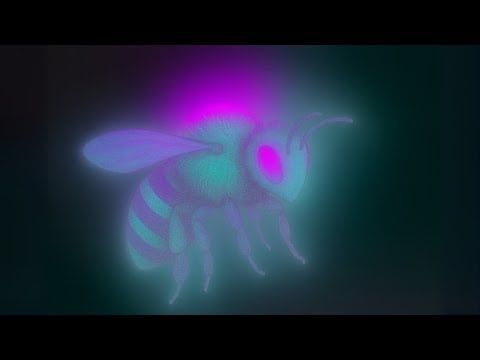JORDAN'S HOUSE - Honey