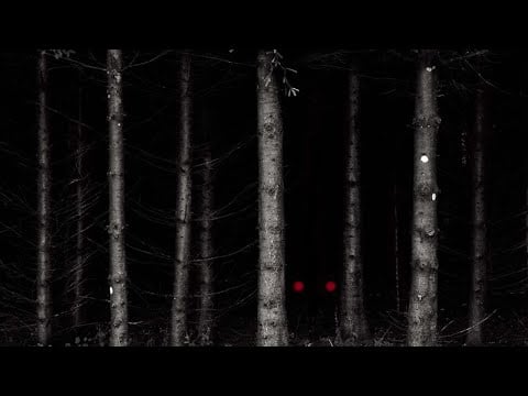 Monster Hunts You In The Dark (ASMR Horror Roleplay) [F4A]