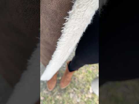 ASMR im Wald mit den Hunden und meinen Lieblingscowboystiefeln! 😇￼