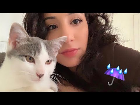 ASM~*RAIN SOUNDS* FT MY CAT😸🌧