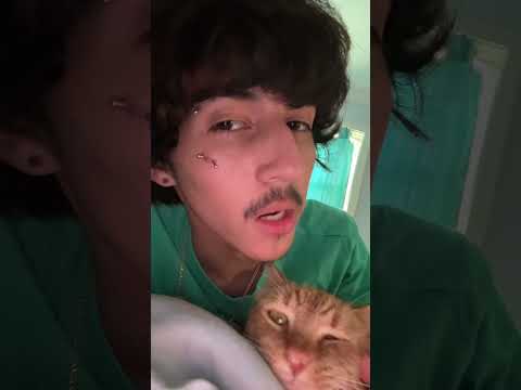 ASMR you, me and my cat  #shorts #asmr #tingles