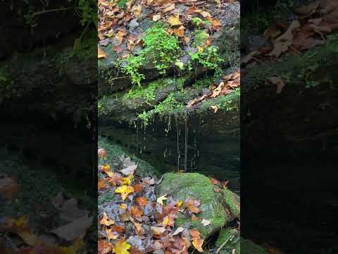 water drip #asmr #relax #triggersforsleep #visualtingle #asmrcommunity #sleepsolution #fy